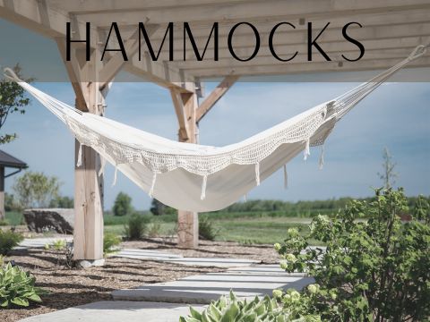Hammocks and Chairs